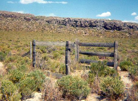 Amedee Cemetery Photo