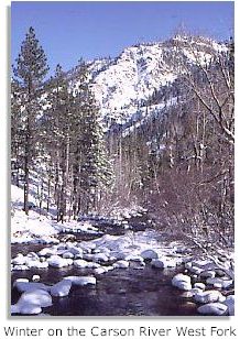 Carson River in Winter