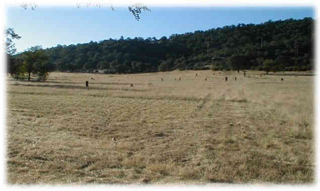 Butcher Hill Cemetery photo