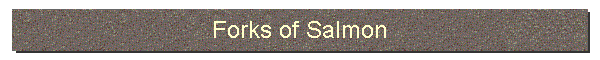 Forks of Salmon