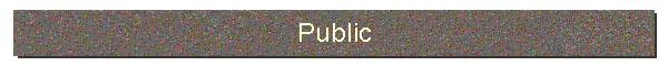 Public