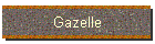 Gazelle