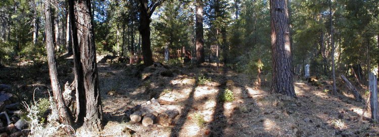 Hamburg Cemetery photo
