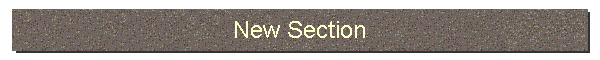 New Section