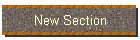 New Section