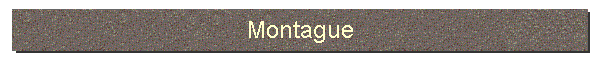 Montague