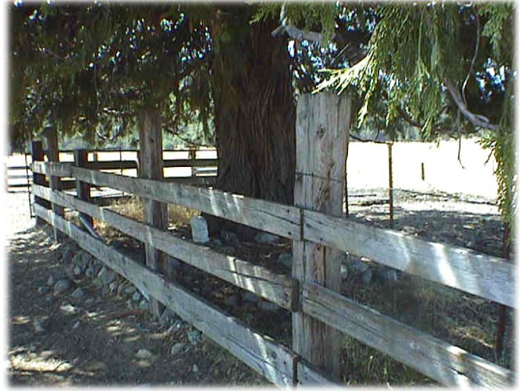 Smith Cemetery photo