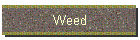 Weed