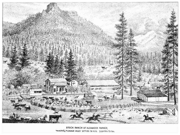 Alexander Parker photo