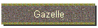 Gazelle