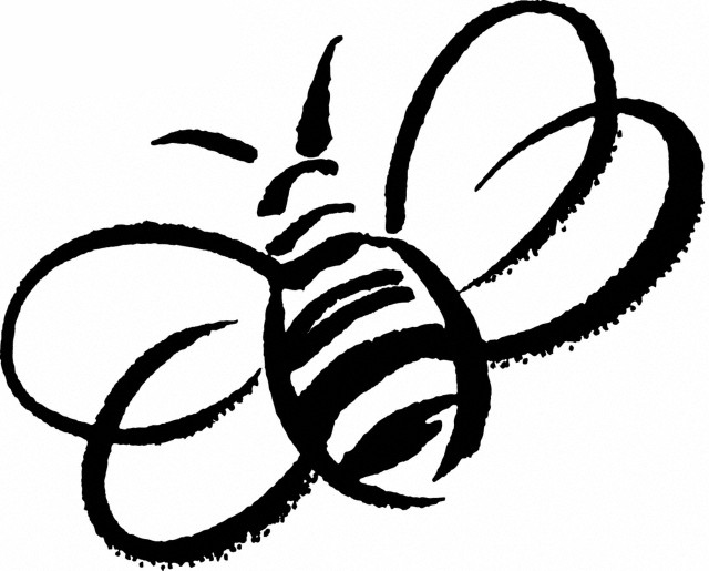 Image of a Bee